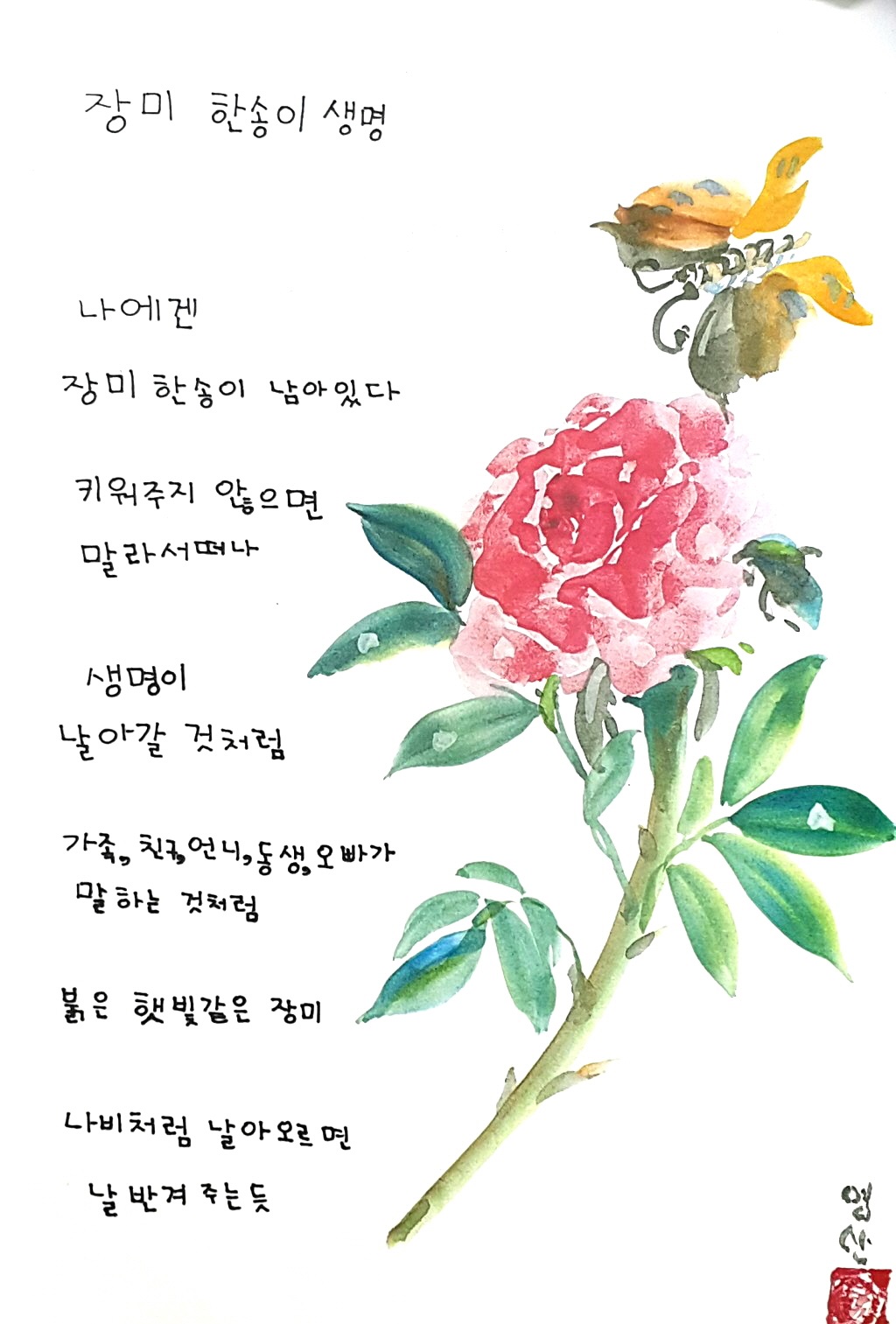 세상에서 가장 따뜻한 백일장