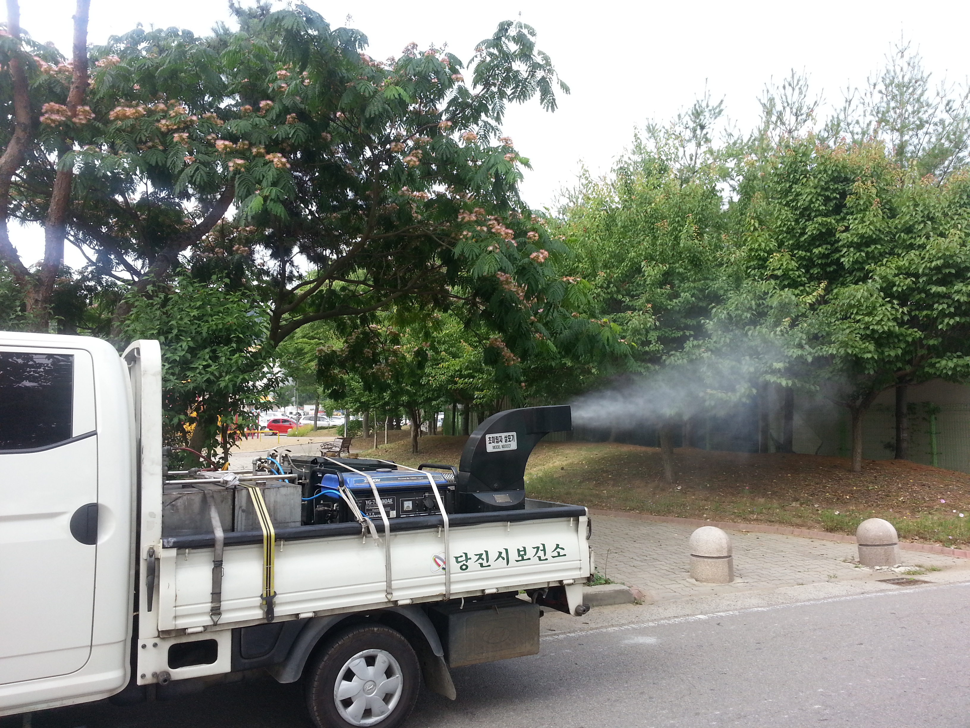 당진시, 일본뇌염 매개모기 확산방지 총력