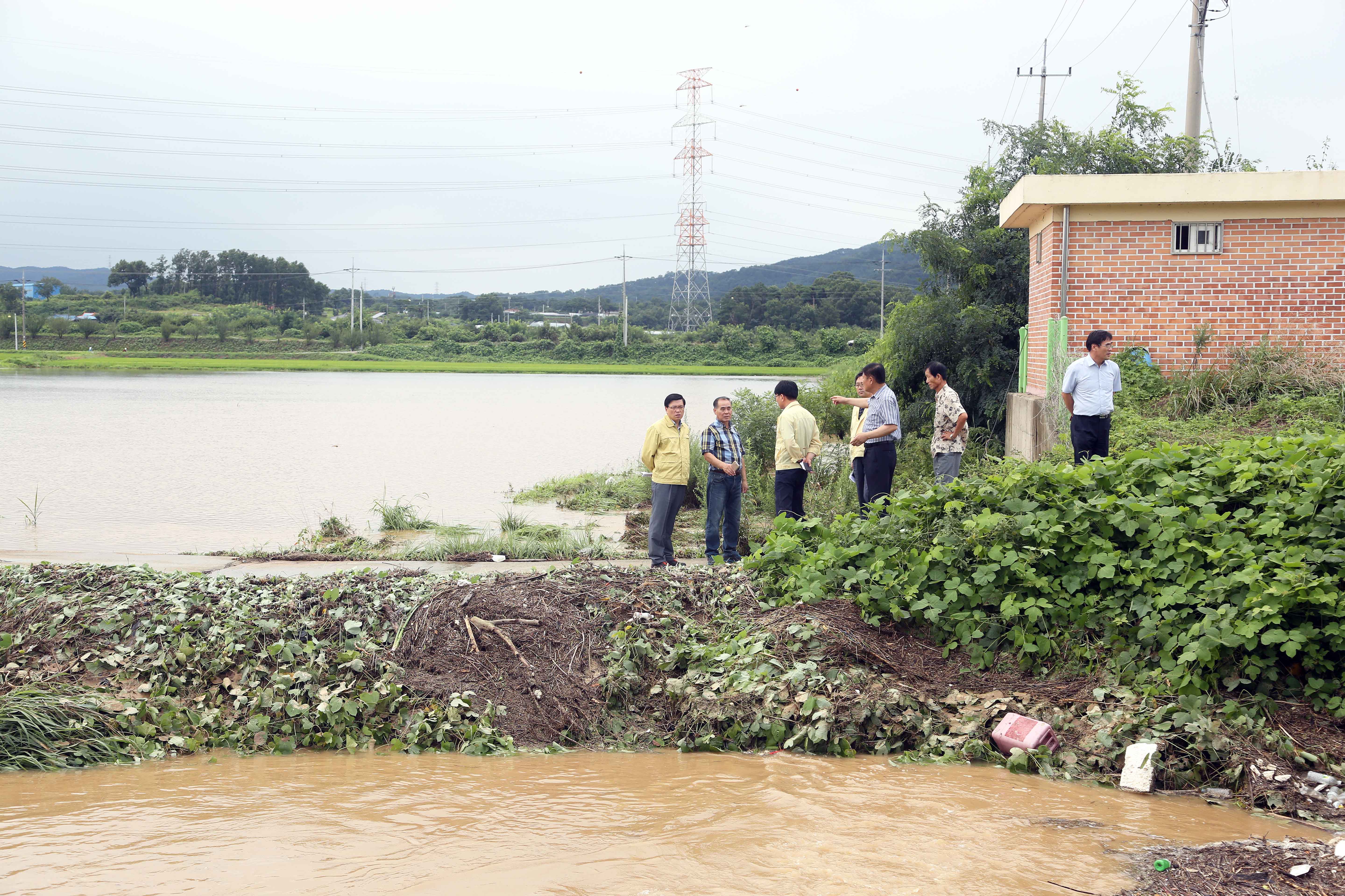 당진시, 농경지 침수피해 현장 점검