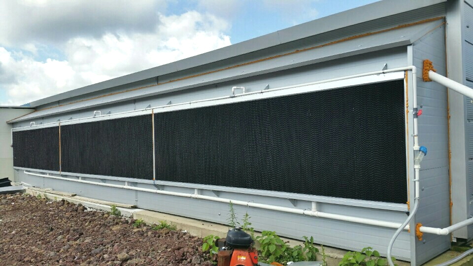 당진 양계 농가, 여름철 집단폐사 줄이기 총력