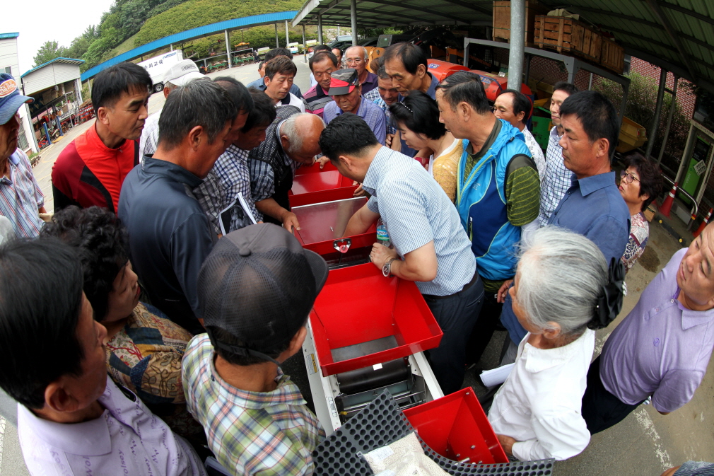 양파 기계이식으로 노동력 절감