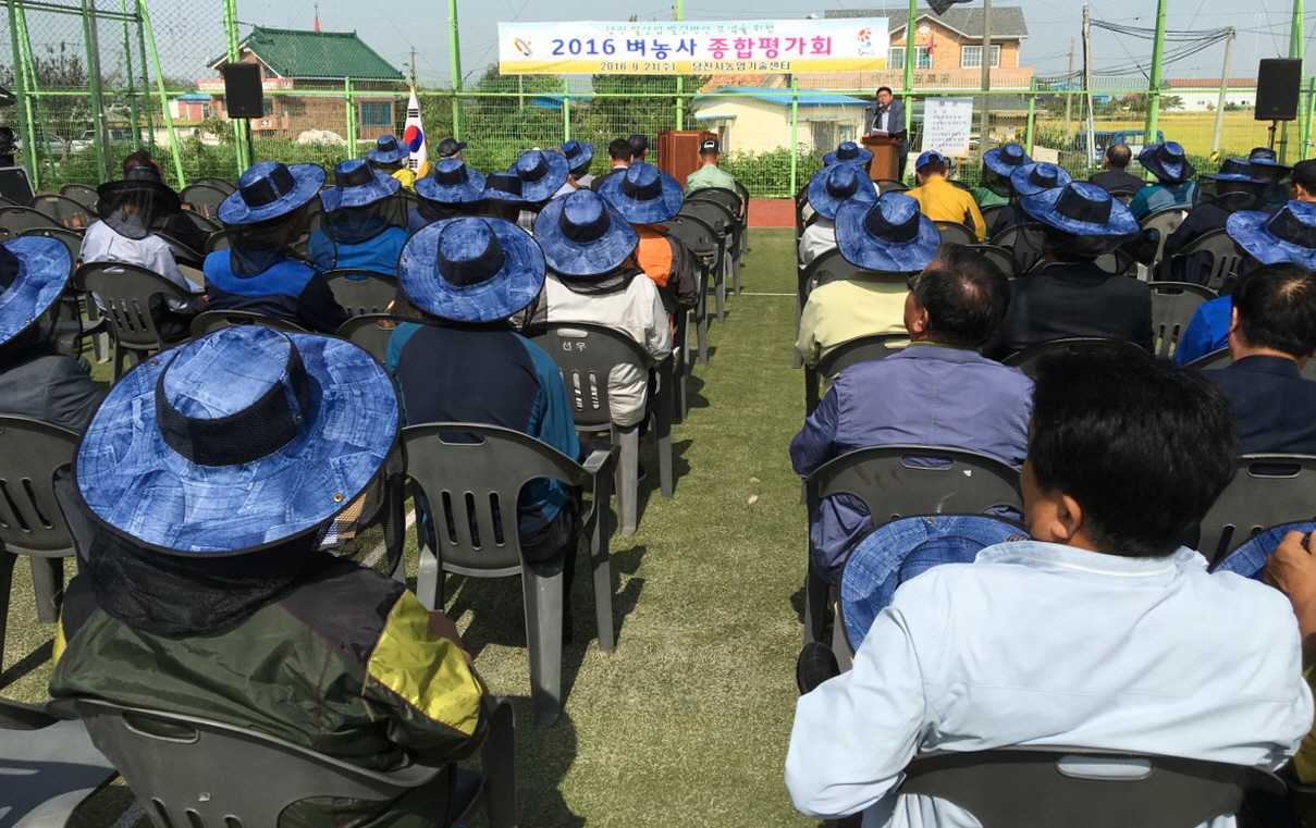 당진시, 벼농사 종합평가회 개최