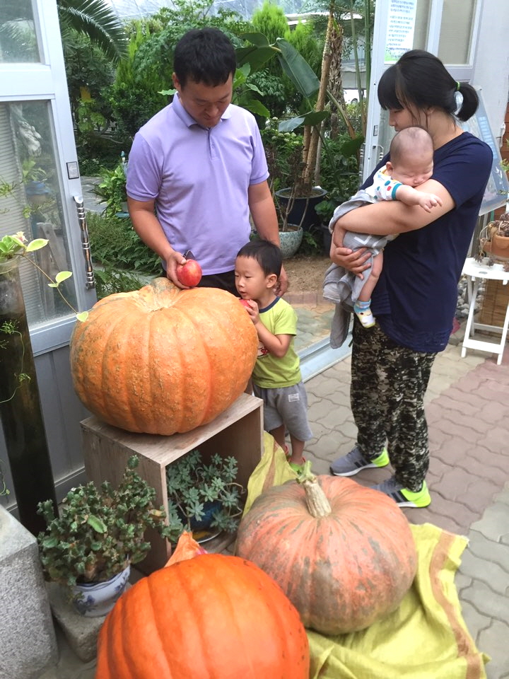 당진호박은 대박, 박과채소 챔피언 선발대회 장려상