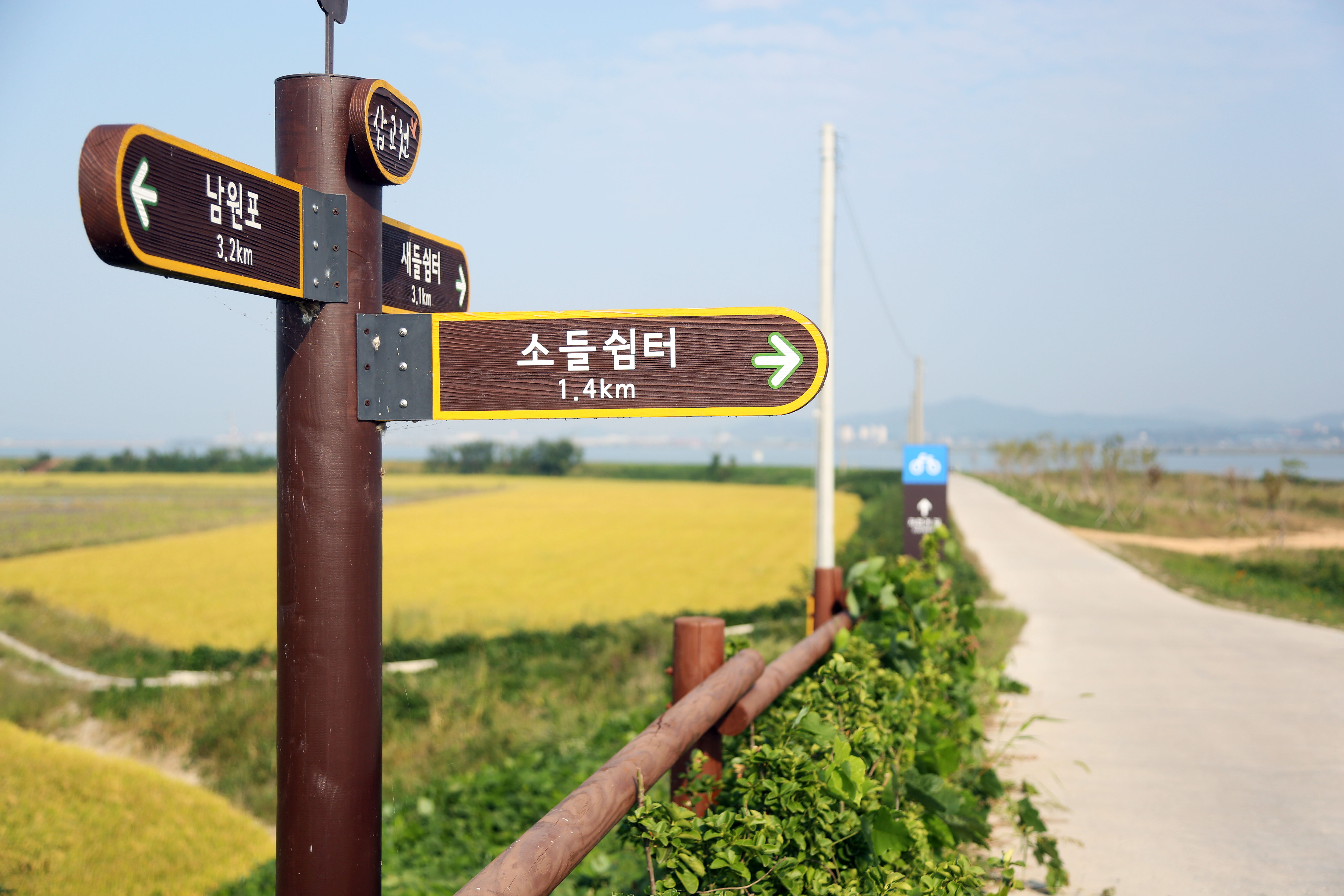 가을이 떠나기 전에 삽교호에서 자전거 타요