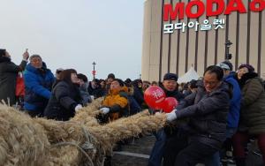 정유년 새해 시작은 기지시줄다리기와 함께