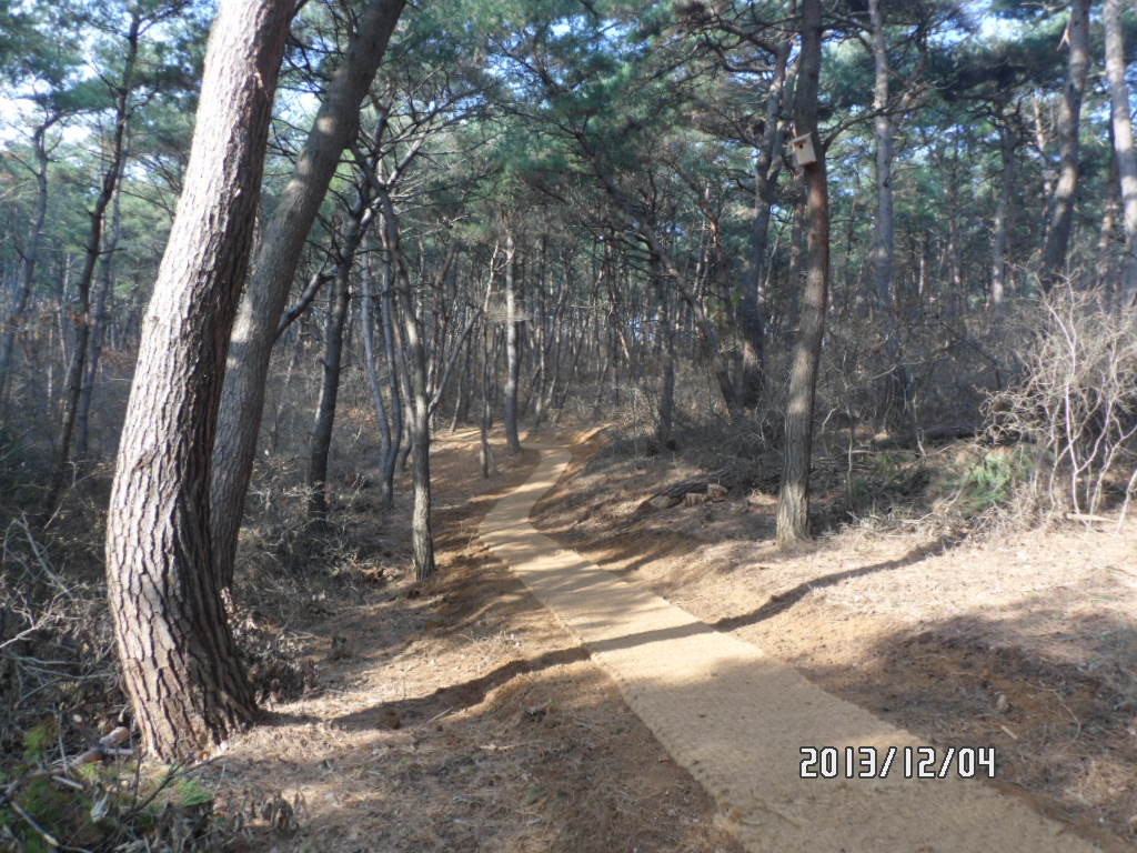 정미면 松風路(솔바람길)를 아시나요? [1편]