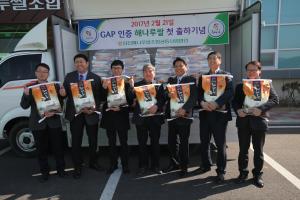해나루쌀 GAP인증, 본격 출하