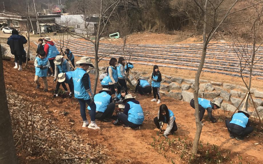 시민이 함께 하는 도시녹화 운동 이미지