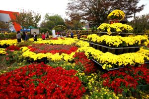 가을이 빚은 국화향기, 당진으로 오세요