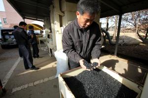 당진서 콩 정선기 등 농기계 대여 인기폭발