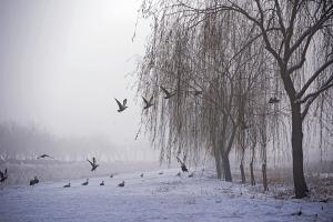 당진시, 합덕제 기초연구 돌입