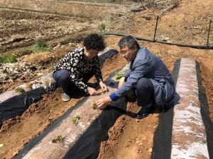 당진시, 찾아가는 영농현장지도 돌입
