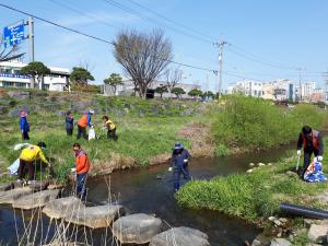 당진천 청결활동 실시