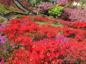 5월 황금연휴엔 농심체험 어때요?