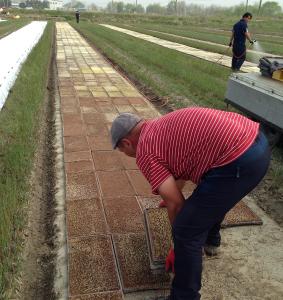 당진농기센터, 우량종자 첫 못자리 실시