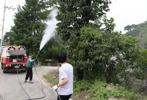 당진시, 생활권 산림병해충 방제 돌입