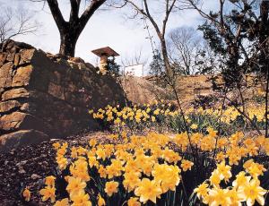 풍경과 스토리가 있는 당진의 사찰로 떠나볼까?