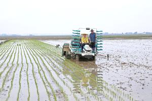 당진농기센터, 모 알선창구 운영