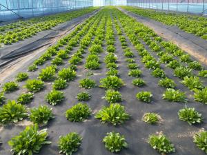 당진시, 농업인 맞춤형 3농혁신 공모사업 추진