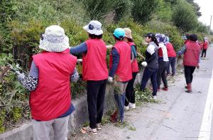 면천면생활개선회, 환경보전 실천활동