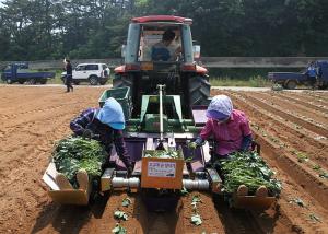 당진시, 고구마 순 정식기계 보급 추진