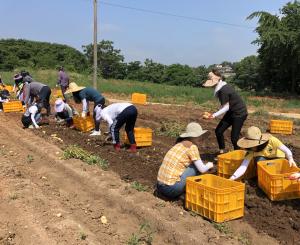 당진시 농촌지도사, 농촌일손 돕기도 최고