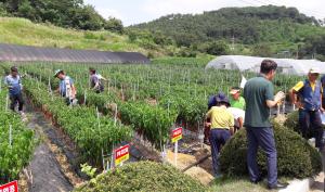지역맞춤 고추 품종 도입 나선 농업인들