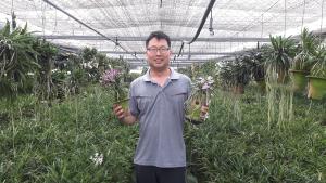 폭염 속에도 은은한 향기의 풍란 활짝