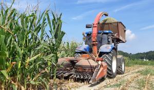 당진서 간척지 활용 논 타작물 재배 성공