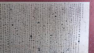 죽음도 막지 못한 사랑, 시간 거슬러 활짝