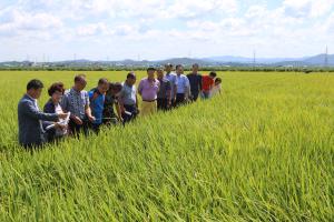 당진시, 종자개발 분야 시범사업 순회평가회 가져