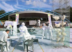 당진시, 가축전염병 대비 가상방역 훈련 실시