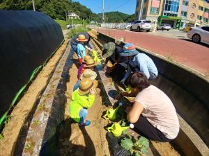 예비도시농업전문가, 텃밭 봉사활동 나서
