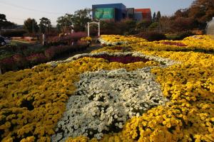 제9회 당진국화전시회 성료