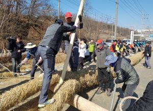 기지시줄다리기 큰 줄 14~15일 제작