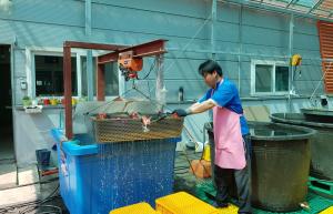 볍씨 종자소독의 올바른 요령은?