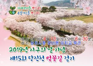 제15회 당진천 벚꽃길 걷기