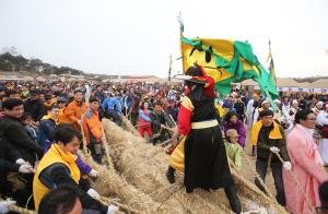당진 기지시줄다리기 큰 줄의 비밀은?