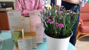 합덕읍, 어버이날 맞아 홀몸어르신 꽃과 선물전달