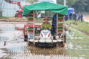 당진 곳곳에서 풍년농사 돌입