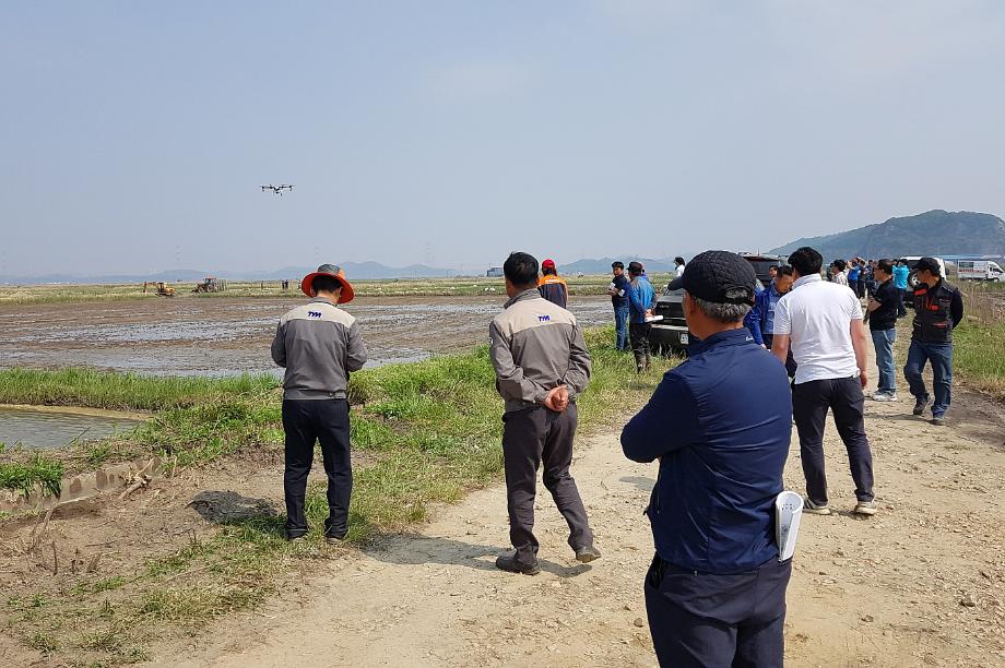 당진시, 사료용 벼도 직파재배 도전 이미지