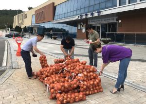 당진시, 양파 소비촉진 팔 걷어