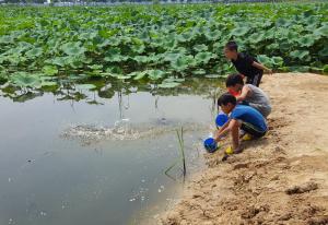 7월 한 달 간 펼쳐지는 축제의 향연