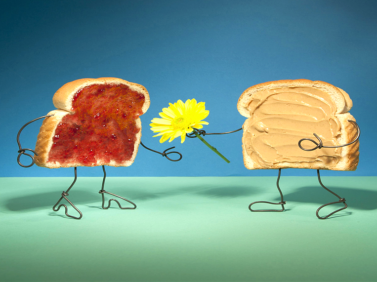 테리 보더의 유쾌한 상상