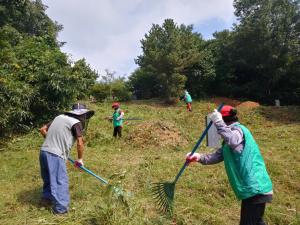 당진시 고대면 새마을지도자협의회 추석맞이 무연고 묘 벌초작업