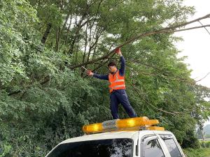 당진시, 태풍 링링 피해 복구 행정력 집중