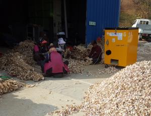 당진시, 마늘·양파 적기 파종 지도 나서