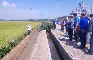 올해 벼농사 작황은?