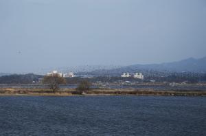 당진 무명섬, 40여 년 만에 이름 생기나