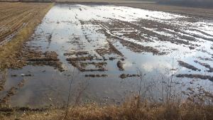 최적 농토 만들기는 논 물 가두기 실천부터